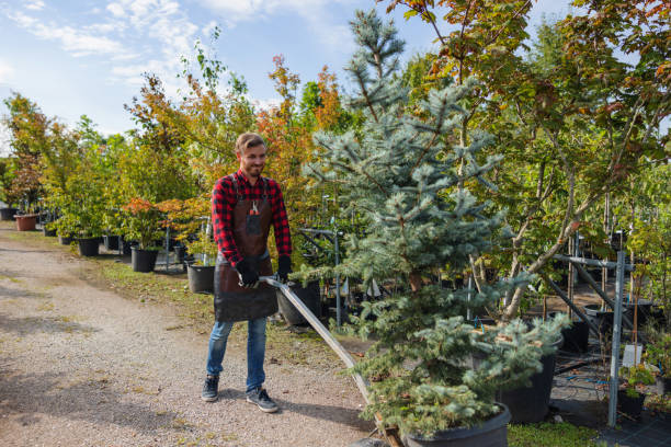 Best Seasonal Cleanup  in Shark River Hills, NJ